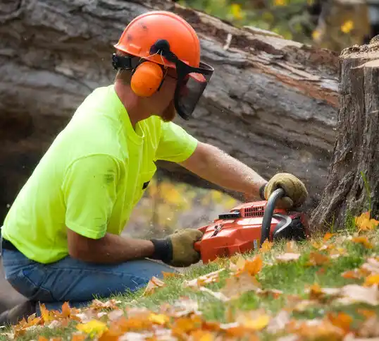 tree services Celina